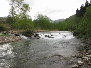 20160505_SR