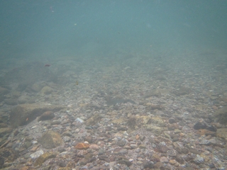20160505_ST