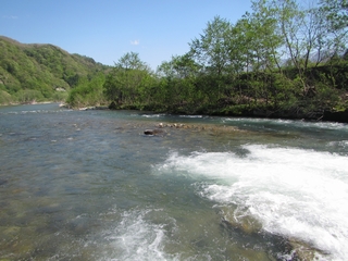 20160508_SP