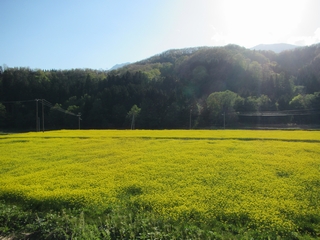 20160508_SS