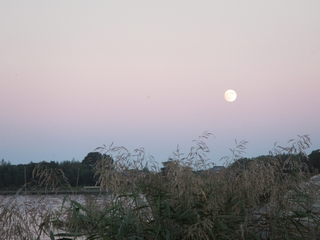 20161015_