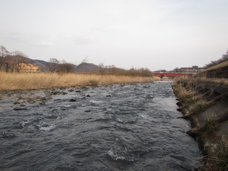 20170305_nǐP