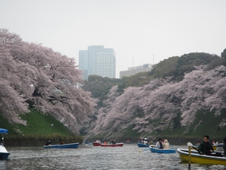 20170408_璹P