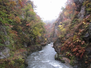 20171029_qQ