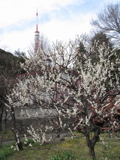 20180303_ŌP