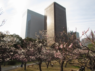 20180303_ŌR