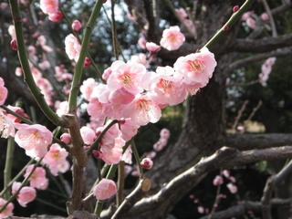 20180303_ŌS