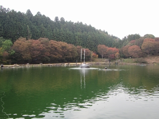 20181027_ԏtBbVOtB[h