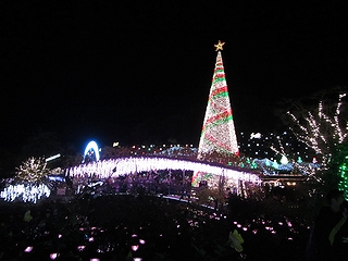 20181208_t[p[NS