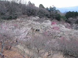 20190316_}gR~тP