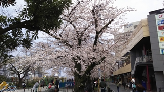 20190331_sJwO