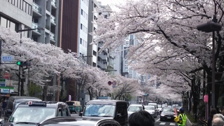 20190331_ʂ