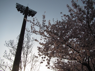 20190407_V̍R