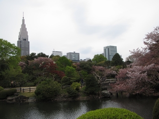 20190414_Vh䉑P