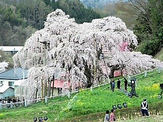 20190421_OtQ
