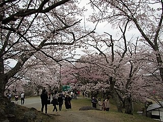 20190421_OtR
