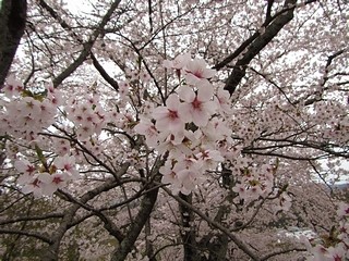 20190421_OtS