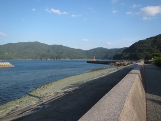 20190816_c̒h