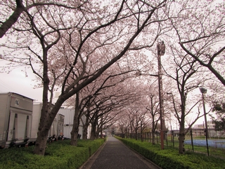 20200328_^ꉡ