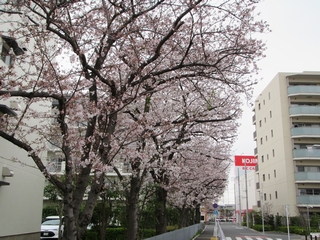 20200328_cn̓