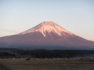 ӂƂςLv