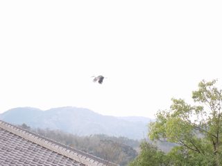 REmg̋