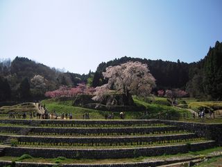 q2009̉i