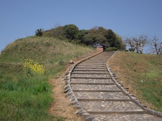VEVc