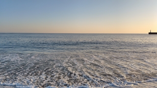 2026/1/17 �ԉ��T�[�t�̃{��