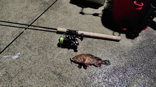 2026/2/2 ���l�V�`�Q