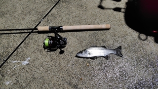 2026/2/2 ���l�V�`�U