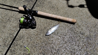 2026/2/2 ���l�V�`�V