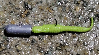 2026/2/2 ���l�V�`�W