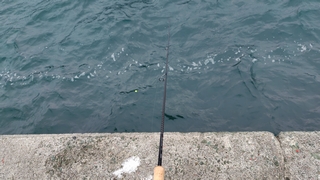 2026/2/5 ���l�V�`�P