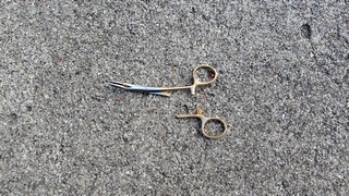 2026/2/5 ���l�V�`�S