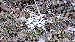 2026/2/13 �ׂӋ��Q