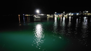 2026/2/17 ���l�V�`�P