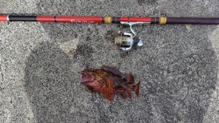 2026/2/20 ���l�V�`�Q