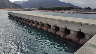 2026/2/24 ���l�V�`�P