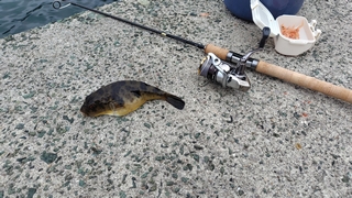 2026/2/24 ���l�V�`�R