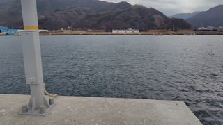 2026/2/24 ���l�V�`�S