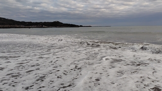 2026/2/26 ��{�T�[�t�P