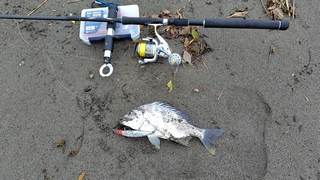 2026/2/26 ��{�T�[�t�Q