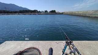 2026/3/11 ���l�V�`�P