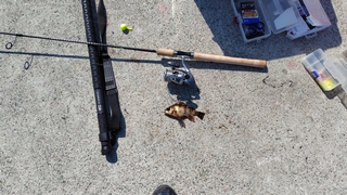 2026/3/11 ���l�V�`�Q